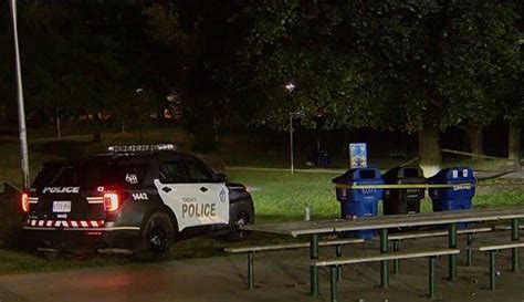 2 injured, 1 critically, in stabbing near Christie Pits